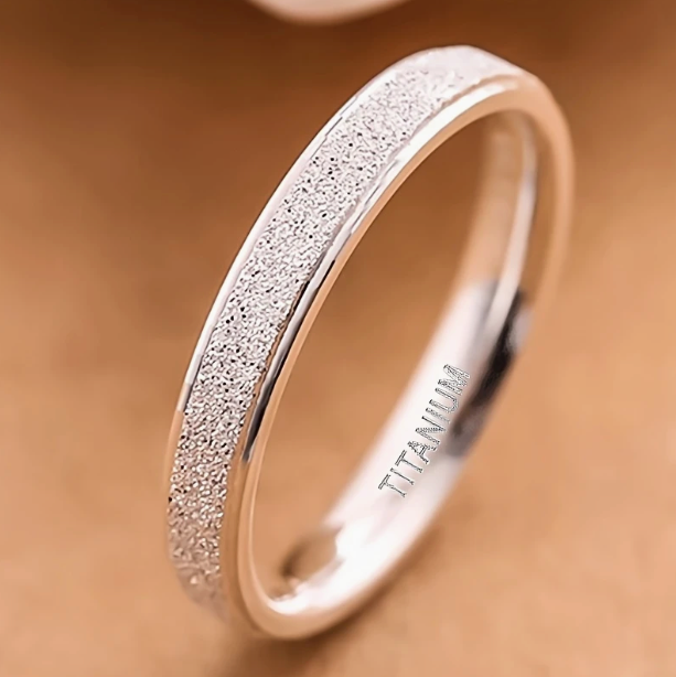 Titanring Silber