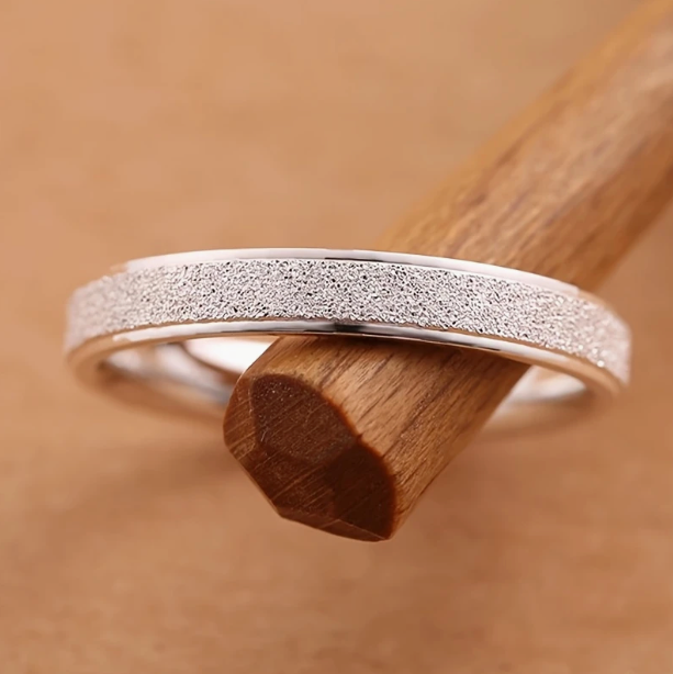 Titanring Silber